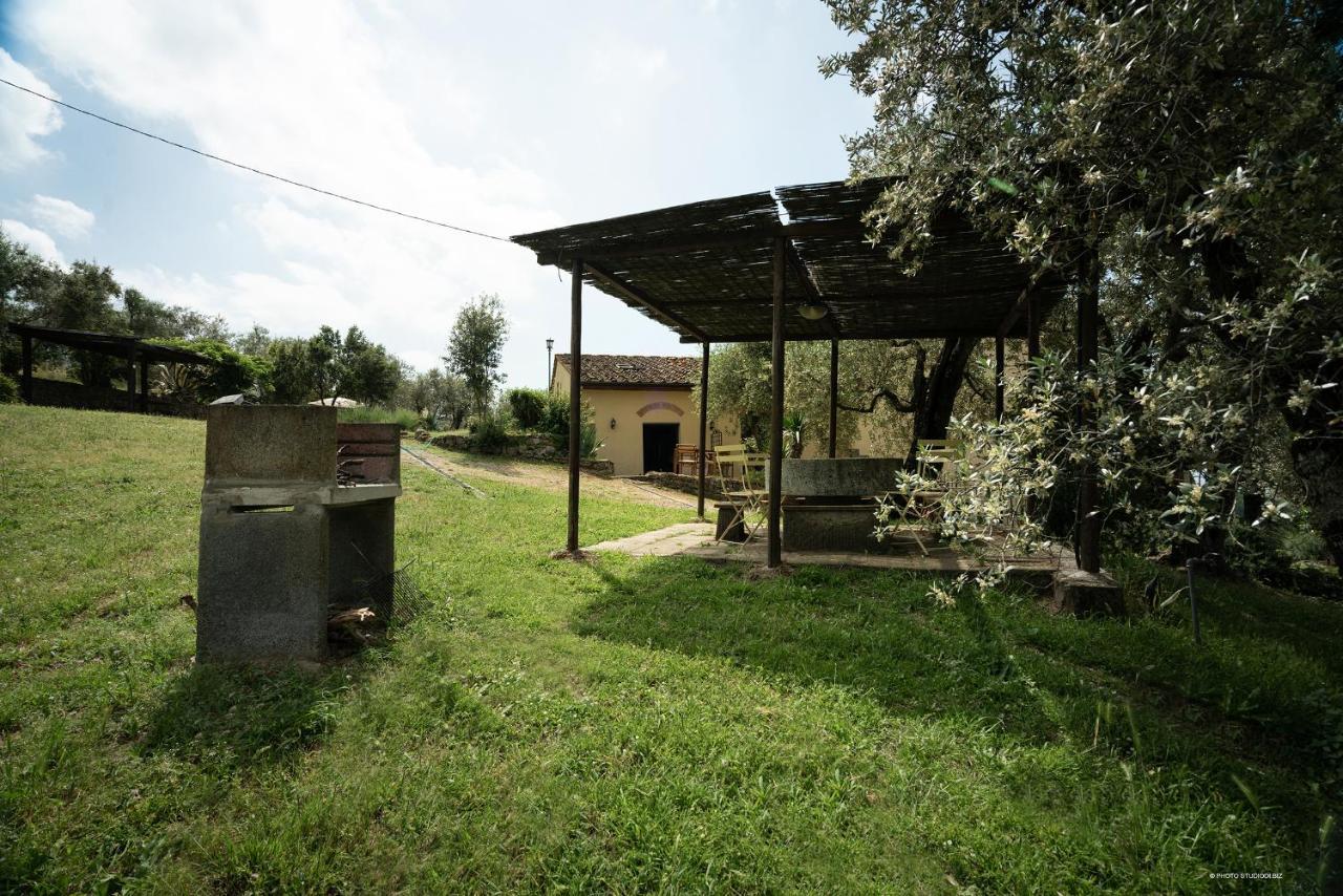 Agriturismo La Gioconda Vinci Ngoại thất bức ảnh