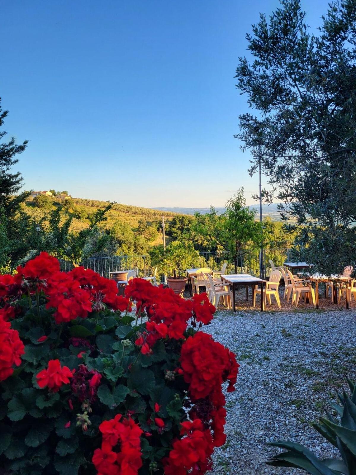 Agriturismo La Gioconda Vinci Ngoại thất bức ảnh