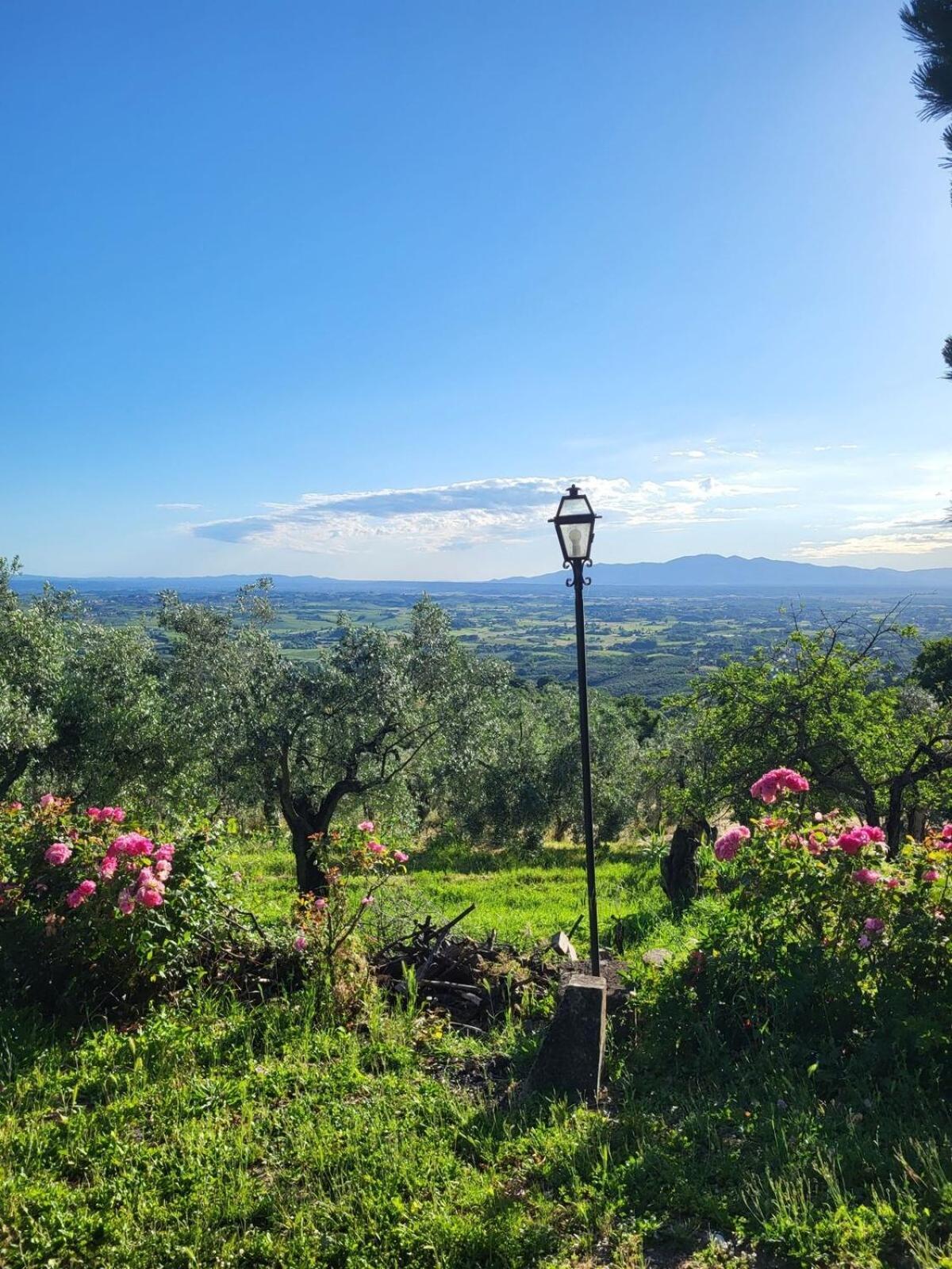 Agriturismo La Gioconda Vinci Ngoại thất bức ảnh