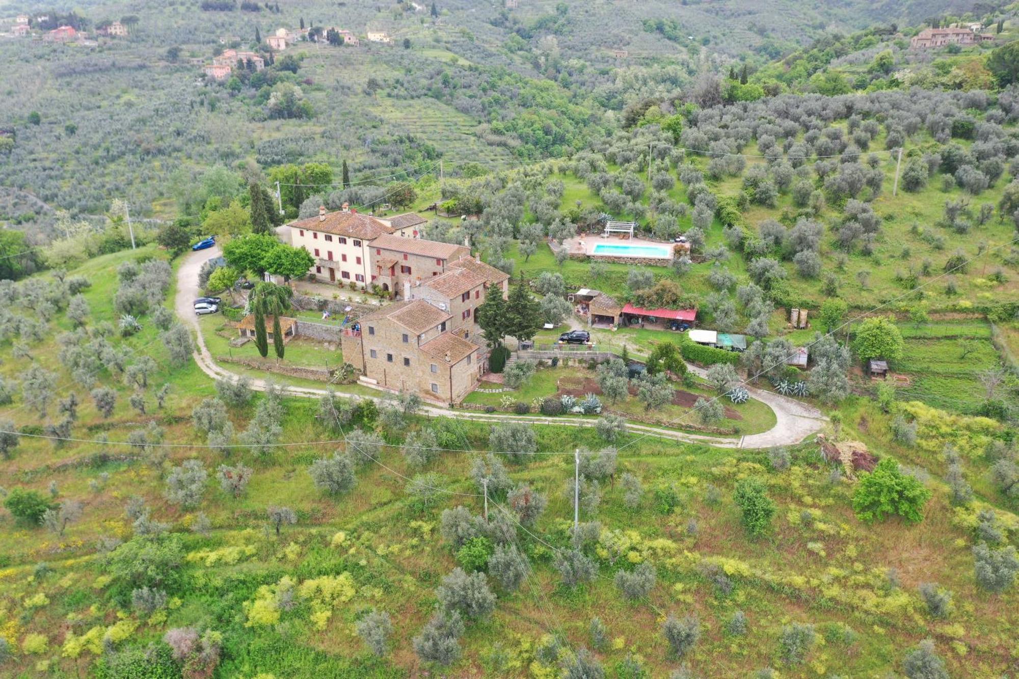 Agriturismo La Gioconda Vinci Ngoại thất bức ảnh